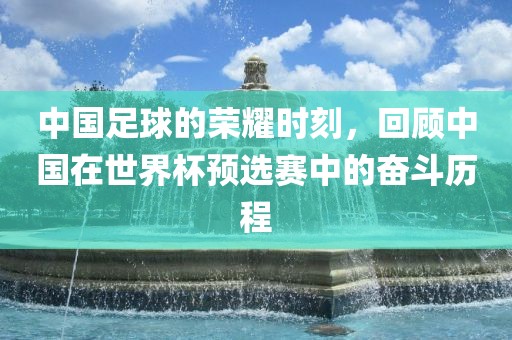 中国足球的荣耀时刻，回顾中国在世界杯预选赛中的奋斗历程