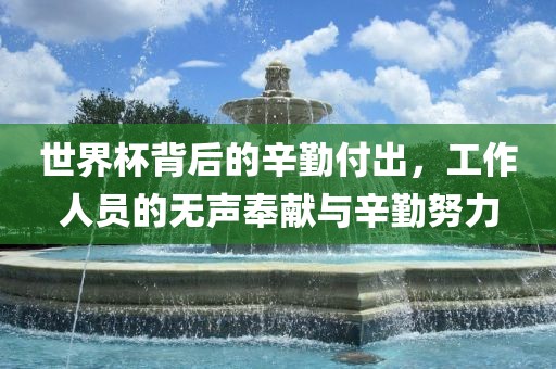 世界杯背后的辛勤付出，洛阳市法福文化传播有限公司工作人员的无声奉献与辛勤努力