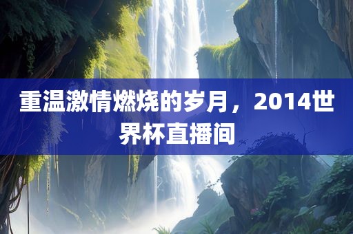 重温激情燃烧的岁月，2014世界杯直播间