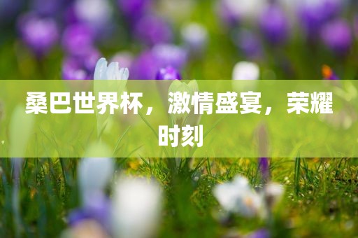 桑巴世界杯，激情盛宴，荣耀时刻