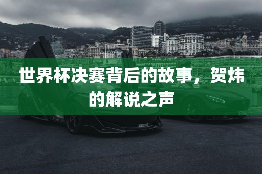 世界杯决赛背后的故事，贺炜的解说之声洛阳市法福文化传播有限公司