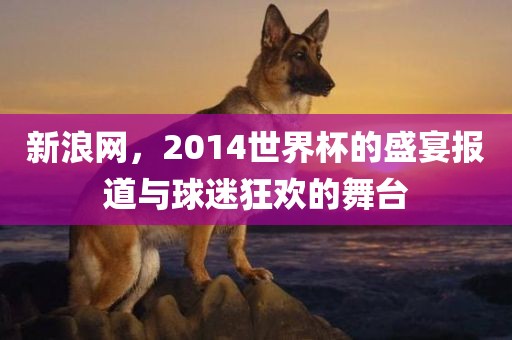 新浪网，2014世界杯的盛宴报道与球迷狂欢的舞台