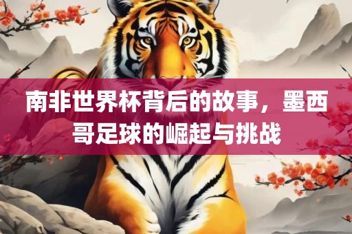 南非世界杯背后的故事，墨西哥足球的崛起与挑战