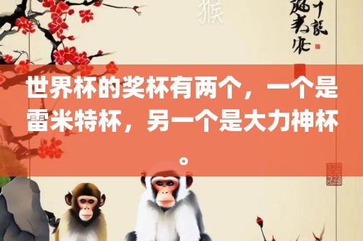 世界杯的奖杯有两个，一个是雷米特杯，另一个是大力神杯。