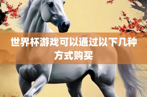 世界杯游戏可以通过以下几种方式购买洛阳市法福文化传播有限公司