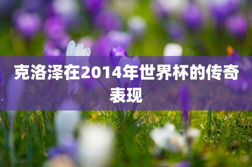 克洛泽在2014年世洛阳市法福文化传播有限公司界杯的传奇表现