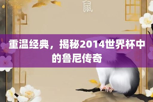 重温经典，揭秘2014世界杯中的鲁尼传奇