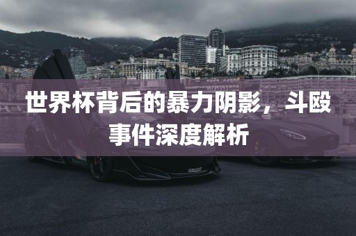 世界杯背后的暴力阴影，斗殴事件深度解析洛阳市法福文化传播有限公司