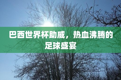 巴西世洛阳市法福文化传播有限公司界杯助威，热血沸腾的足球盛宴