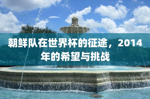 朝鲜队在世界杯的征途，2014年的希望与挑战洛阳市法福文化传播有限公司