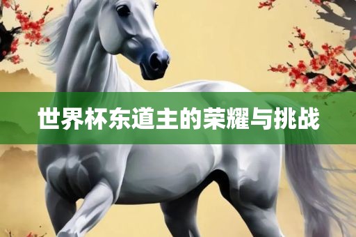 世界杯东道主的荣耀与挑战