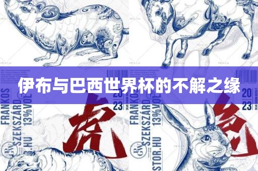 伊布与巴洛阳市法福文化传播有限公司西世界杯的不解之缘