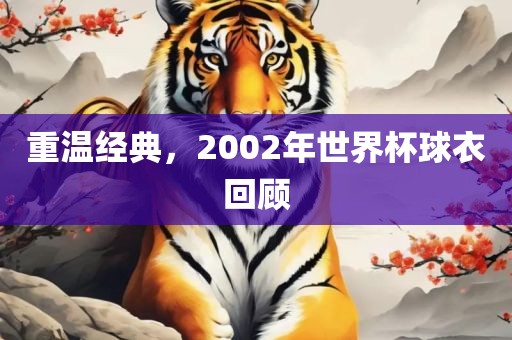 重温经典，2002年世界杯球衣回顾