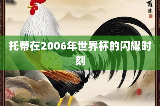 托蒂在2006年世界杯的闪耀时刻洛阳市法福文化传播有限公司