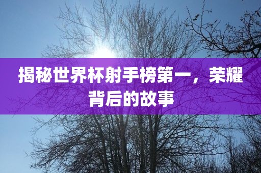 揭秘世界杯射手榜第一，荣耀背后的故事洛阳市法福文化传播有限公司