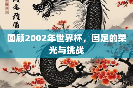 回顾2002年世界杯，国足的荣光与挑战