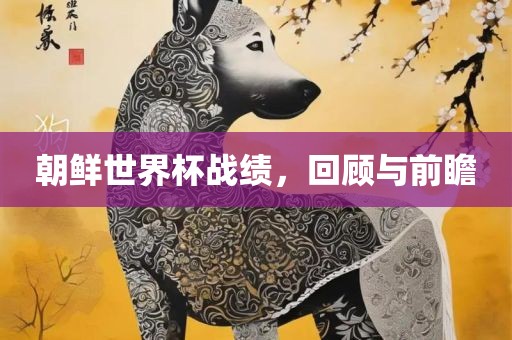 朝鲜世界杯战绩，回顾与前瞻洛阳市法福文化传播有限公司