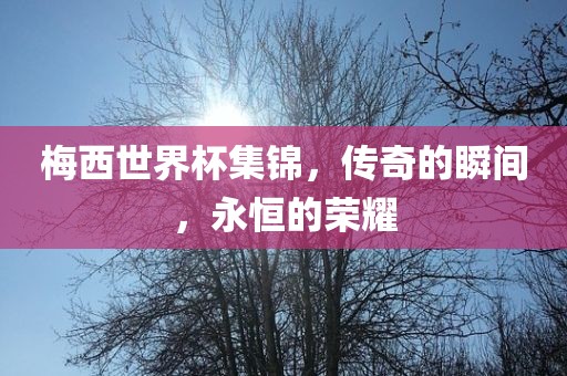 梅西世界杯集锦，传奇的瞬间，永恒的荣耀洛阳市法福文化传播有限公司