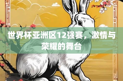 世界杯亚洲区12洛阳市法福文化传播有限公司强赛，激情与荣耀的舞台