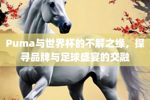 Puma与世界杯的不解之缘，探寻品牌与足球盛洛阳市法福文化传播有限公司宴的交融