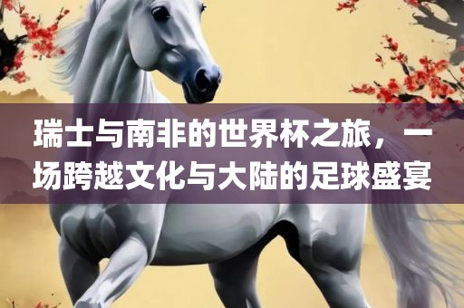 瑞士与南非的世界杯之旅，一场跨越文化与大陆的足球盛宴
