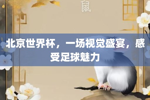 北京世界杯，一场视觉盛宴，感受足球魅力