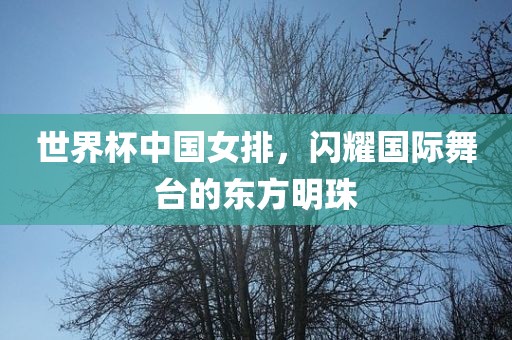 世界杯中国女排，闪耀国际舞台的东方明洛阳市法福文化传播有限公司珠