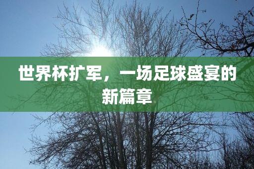世界杯扩军，一场足球盛宴的新篇章洛阳市法福文化传播有限公司