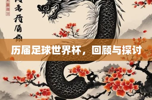 历届足球世界杯，回顾与探讨