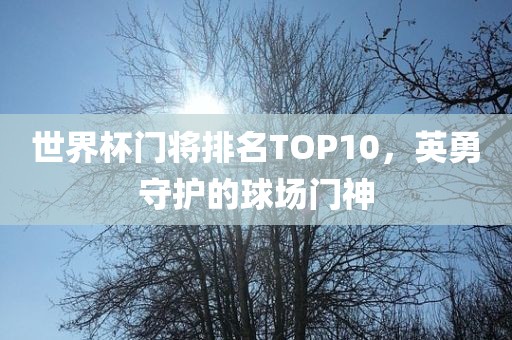 世界杯门将排名TOP10，英勇守护的球场门神