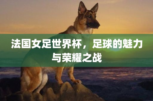 法国女足世界杯，足球的魅力与荣耀之战