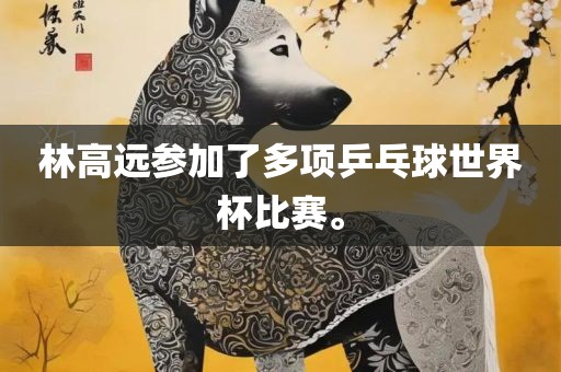 林高远参加了多项乒乓球世界杯比赛。
