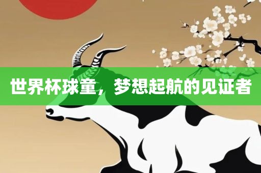 世界杯球童，梦想起航的见证洛阳市法福文化传播有限公司者