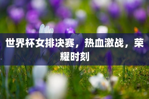 一、引言，揭幕15女排世界杯