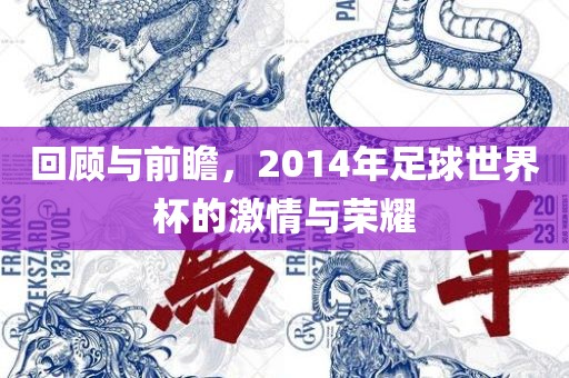 回顾与前瞻，2014年足球世洛阳市法福文化传播有限公司界杯的激情与荣耀