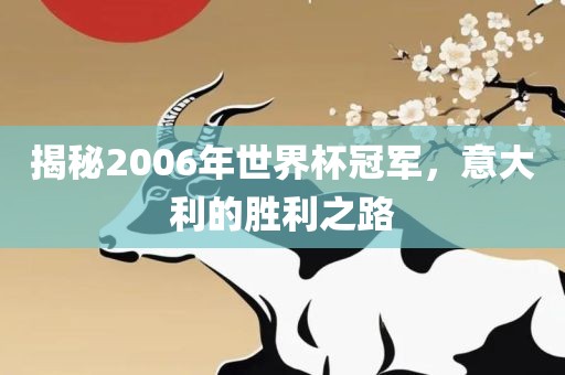 揭秘2006年世界杯冠军，意大利的胜利之路