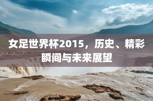 女足世界杯2015，历史、精彩瞬间与未来展望洛阳市法福文化传播有限公司