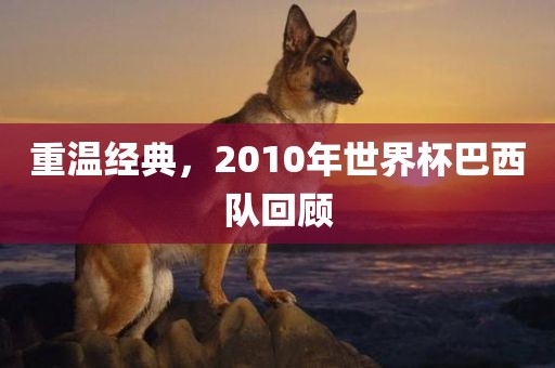 重温经典，2010年世界杯巴西队回顾