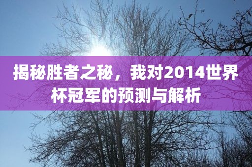 揭秘胜者之秘，我对2014世界杯冠军的预测与解析