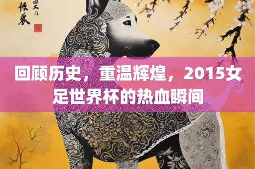 回顾历史，重温辉煌，2015女足世界杯的热血瞬间