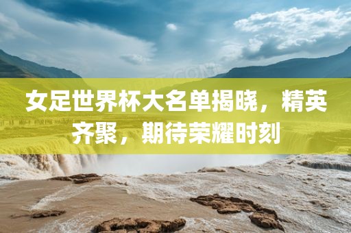 女足世界杯洛阳市法福文化传播有限公司大名单揭晓，精英齐聚，期待荣耀时刻