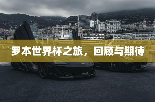 罗本世界杯之旅，回顾与期待洛阳市法福文化传播有限公司