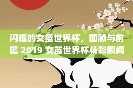 闪耀的女篮世界杯，回顾与前瞻 2019 女篮世界杯精彩瞬间