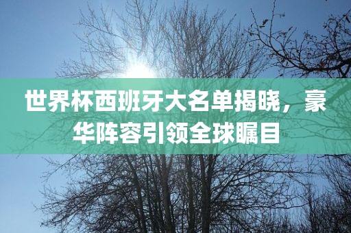 世界杯西班牙大名单揭晓，豪华阵容引领全球瞩目