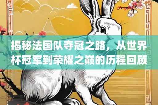 揭秘法国队夺冠之路，从世界杯冠军到荣耀之巅的历程回顾洛阳市法福文化传播有限公司