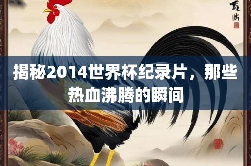 揭秘2014世界杯纪录片，那些热血沸腾的瞬间