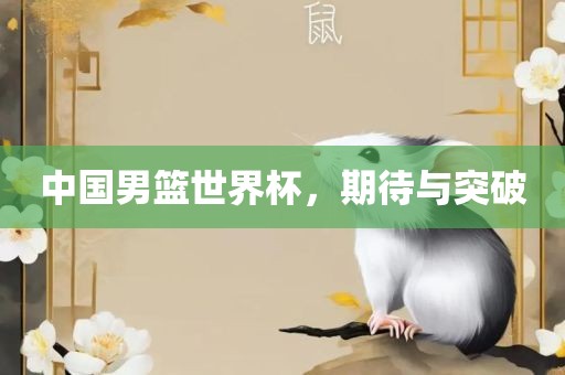 中国男篮世界杯，期待与突破