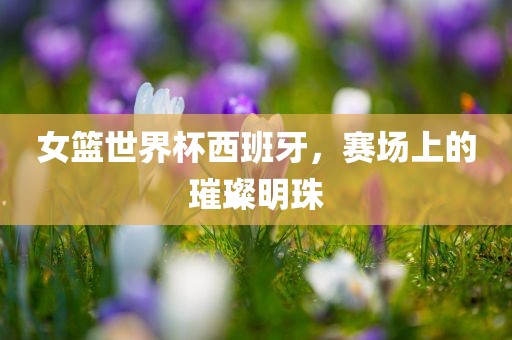 女篮世界杯西班牙，赛场上的璀璨明珠