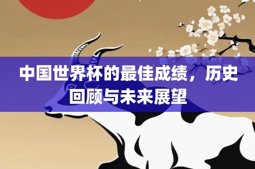 中国世界杯的最佳成绩，历史回顾与未来展望