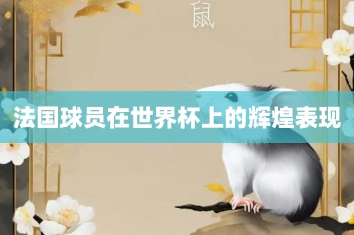 法国球员在世界杯上的辉煌表现